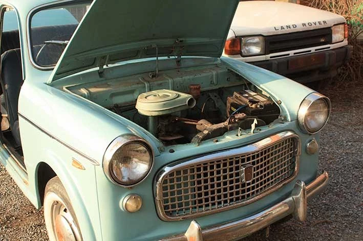 Fiat 1100 1964